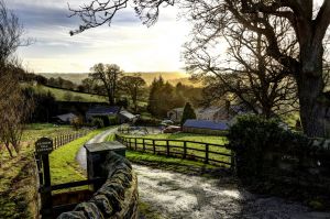 folly rigg 20 sm.jpg